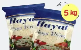 ETSAN Reis Angebot