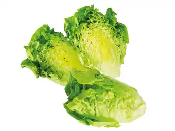 Lidl Salatherzen Lidl 3 Stück 1 Packung Angebot