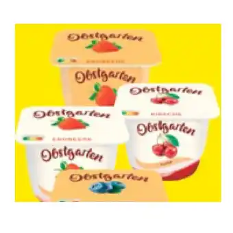 Maximarkt Danone Obstgarten versch. Sorten Maximarkt 175 Gramm 1 Stück Angebot