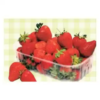 Maximarkt Erdbeeren Maximarkt 500 Gramm 1 Packung Angebot