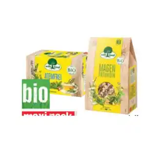 Maximarkt Willi Dungl Bio-Tee versch. Sorten, Maximarkt 20 Beutel 1 Packung Angebot