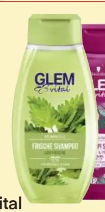 MPreis Glem Vital Shampoo Angebot