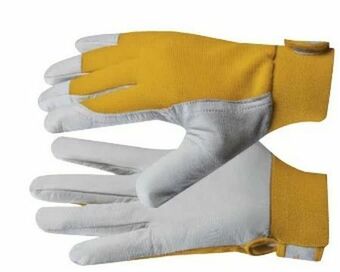 Zgonc Handschuhe Uni Fit Eco Angebot