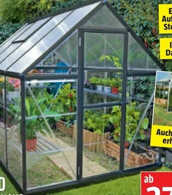 Bauhaus Gewächshaus Hybrid Angebot