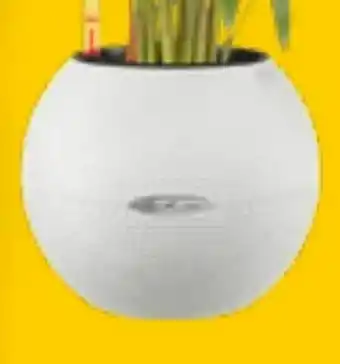 OBI Pflanzgefäss Angebot