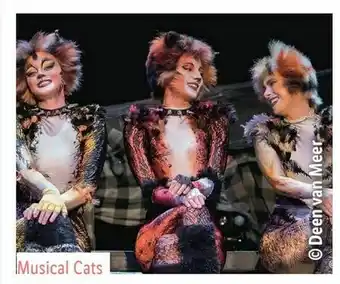 Lidl Reisen Musical Cats in Wien Angebot