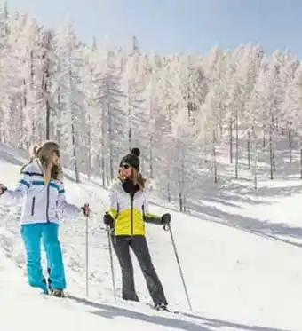 Billa Reisen Kärnten Feistritz Angebot