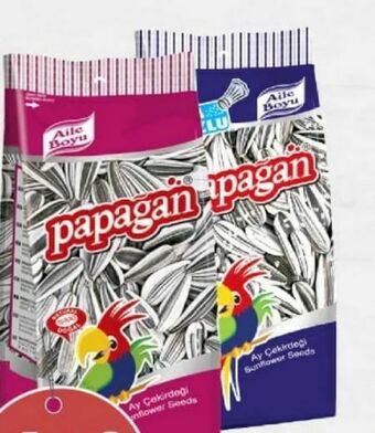 ETSAN Sonnenblumenkerne Angebot