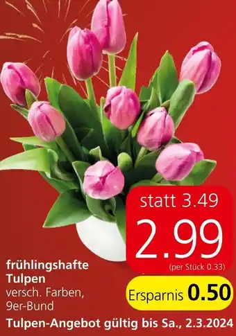 Spar frühlingshafte Tulpen versch. Farben, 9er-Bund Angebot