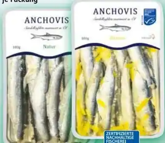 Norma Anchovis Angebot