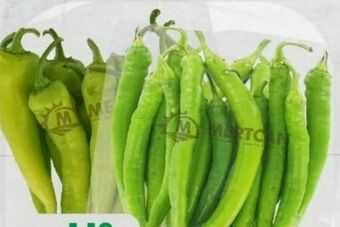 ETSAN Spitze Paprika Angebot
