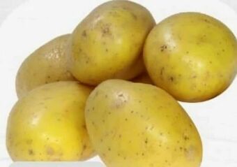 ETSAN Kartoffeln Angebot