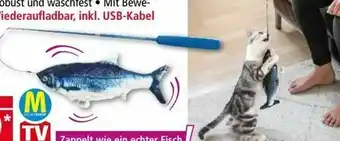 Norma Katzenspielzeug Flippity Fisch Angebot