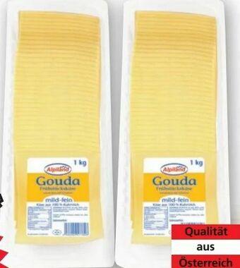 Norma Gouda Angebot