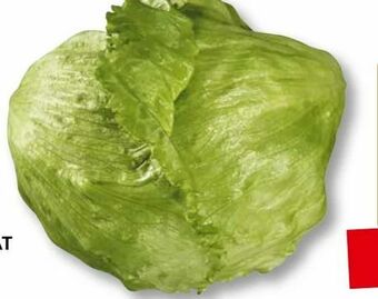 SPAR Gourmet Eisbergsalat Angebot