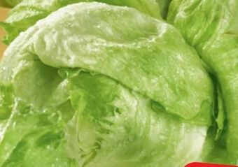 Spar Eisbergsalat Angebot