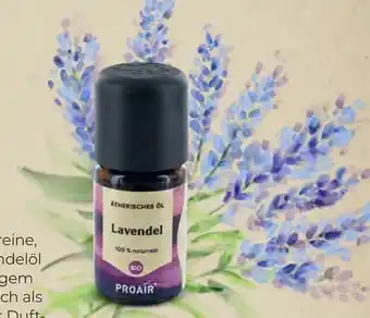 Interspar Ätherisches Öl Angebot