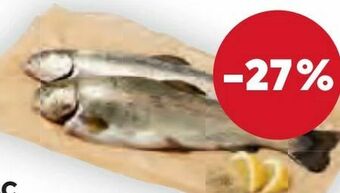 Billa Forelle Angebot