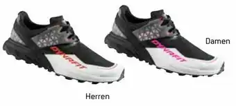Sport 2000 Herren Trailschuh Alpine Dna Angebot