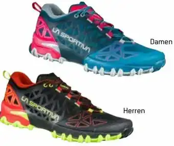 Sport 2000 Herren Runningschuh Bushido II Angebot