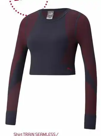Sport 2000 Damen Shirt Train Seamless Angebot