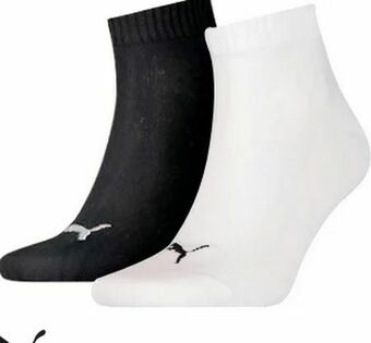 Sport 2000 Herren Viertelsocken Quarter Angebot