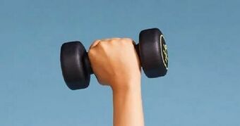 Intersport Neopren Hanteln Angebot