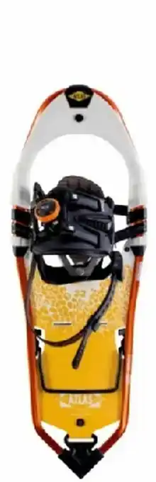 Intersport Schneeschuhe Elektra Apex MTN Angebot