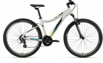 Intersport Damen Mountainbike Zeta Angebot
