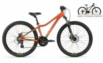 Intersport Kinder Bike Evolution JR 26 Angebot