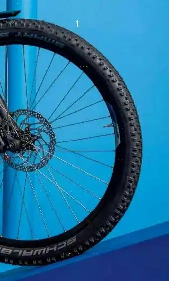 Intersport Damen Trekkingbike-Hollandrad Avenue Angebot