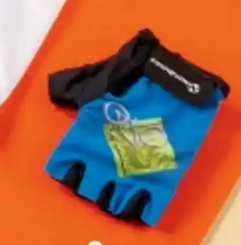 Intersport Handschuhe Dolo Angebot