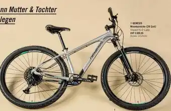 Intersport Damen Mountainbike Impact 6.0 Lady Angebot
