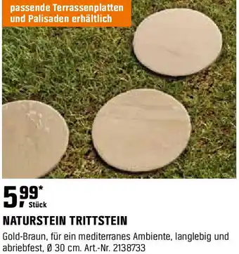 OBI NATURSTEIN TRITTSTEIN Angebot