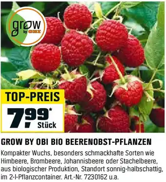 OBI GROW BY OBI BIO BEERENOBST-PFLANZEN Angebot