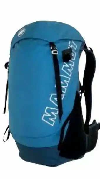 Intersport Wanderrucksack Seehorn 24 Angebot