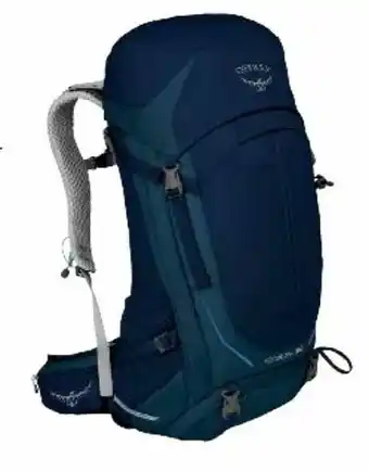 Intersport Rucksack Stratos 36L Angebot