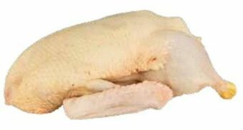 Transgourmet Waldland Barbarie Ente Ganz Angebot