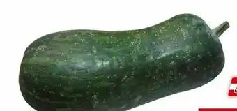 Transgourmet Kürbis Angebot