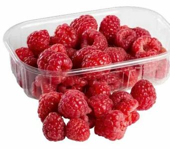 Transgourmet Himbeeren Angebot