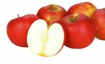 Transgourmet Äpfel Angebot