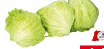 Transgourmet Eisbergsalat Angebot