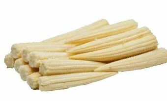 Transgourmet Baby Mais Angebot