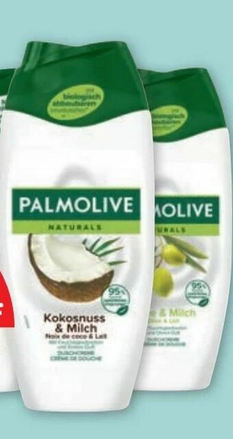 PENNY Duschgel Angebot