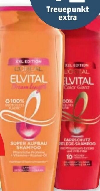 PENNY Elvital Shampoo Angebot