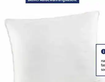 Hofer Polster Megafil Eco Angebot