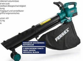 Hofer Akku-Laubsauger Angebot