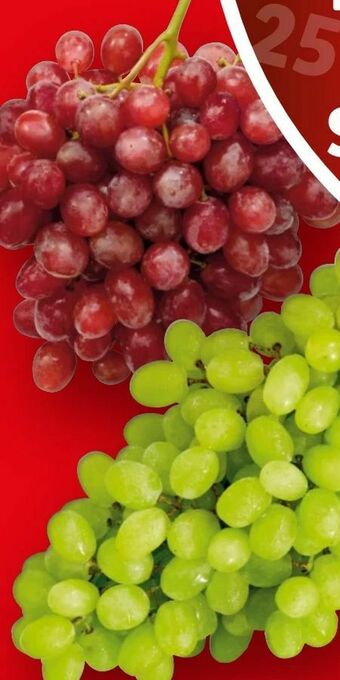 Lidl Trauben Angebot