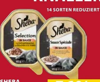 Dehner Katzen-Nassfutter Angebot