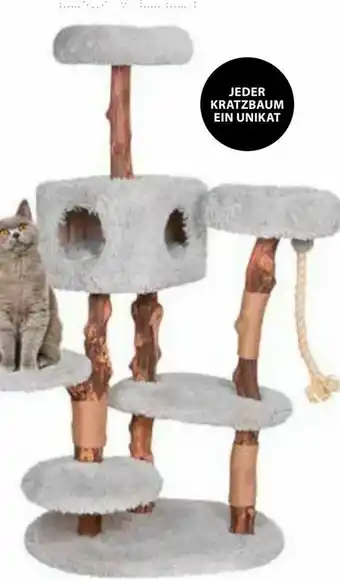 Dehner Kratzbaum Kraxeln-Relaxen Angebot